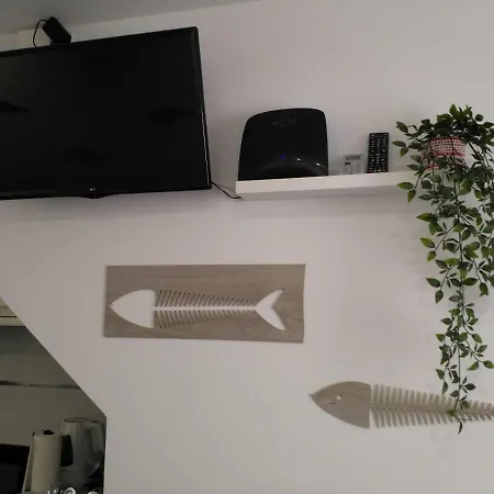 The Seahorse Beach House